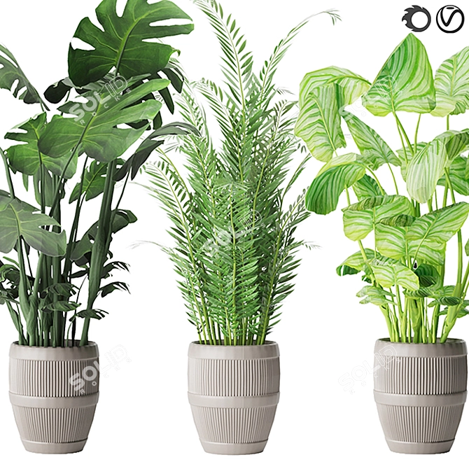 Green Oasis Collection: Parlor Palm, Monstera, Calathea 3D model image 1