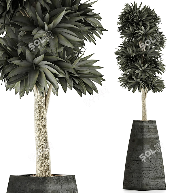 Exotic Plants Collection: Beautiful and Detailed 3D model image 1