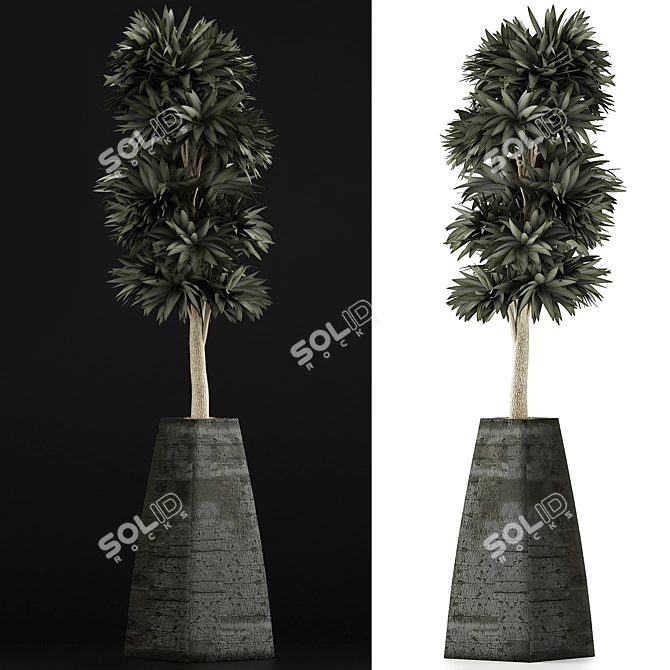 Exotic Plants Collection: Beautiful and Detailed 3D model image 3