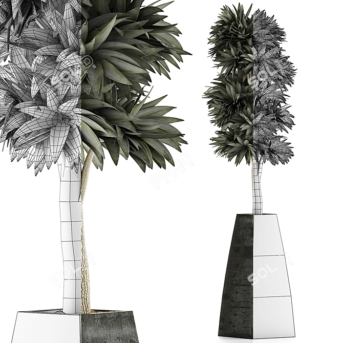 Exotic Plants Collection: Beautiful and Detailed 3D model image 4