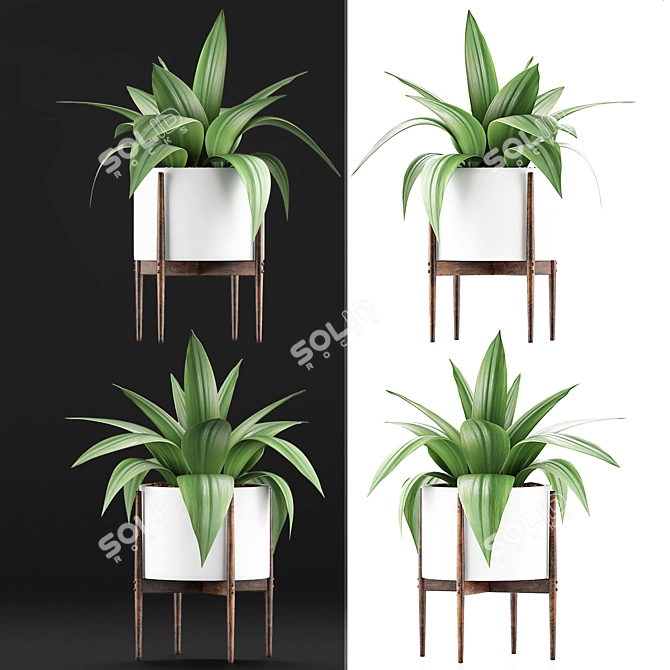 Exotic Agave Collection: 63 Vibrant Plants 3D model image 2