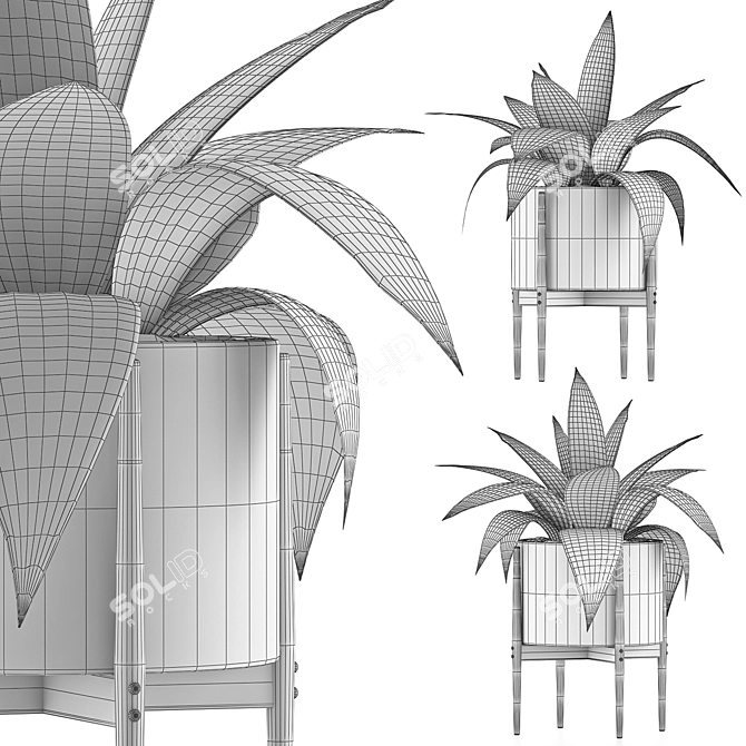 Exotic Agave Collection: 63 Vibrant Plants 3D model image 5