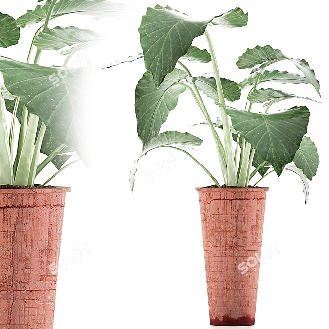 Tropical Greenery: Alocasia Collection 3D model image 1