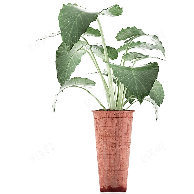 Tropical Greenery: Alocasia Collection 3D model image 2