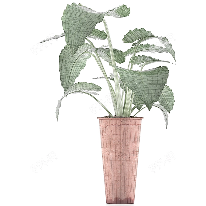 Tropical Greenery: Alocasia Collection 3D model image 3