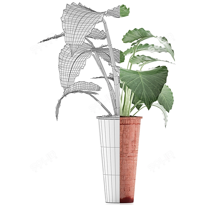 Tropical Greenery: Alocasia Collection 3D model image 4