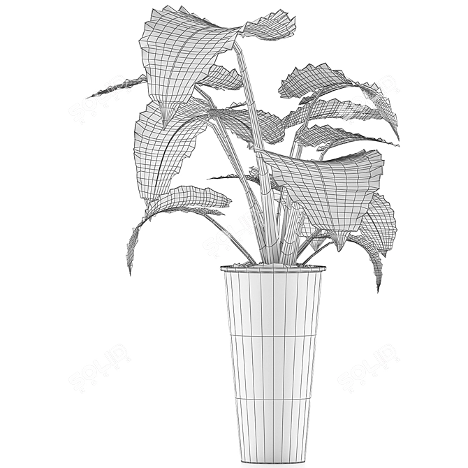 Tropical Greenery: Alocasia Collection 3D model image 5