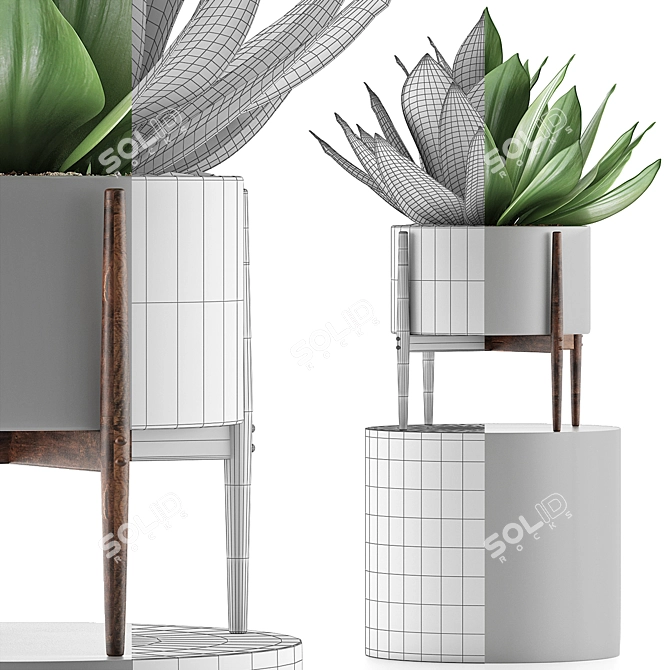 Exotic Agave Collection: Perfect for Green Decor 3D model image 4