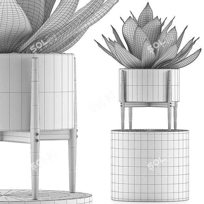 Exotic Agave Collection: Perfect for Green Decor 3D model image 5