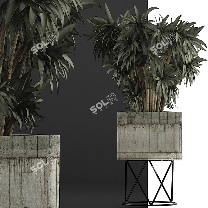 80 Desert Plants Collection: Exotic and Decorative Flora 3D model image 3