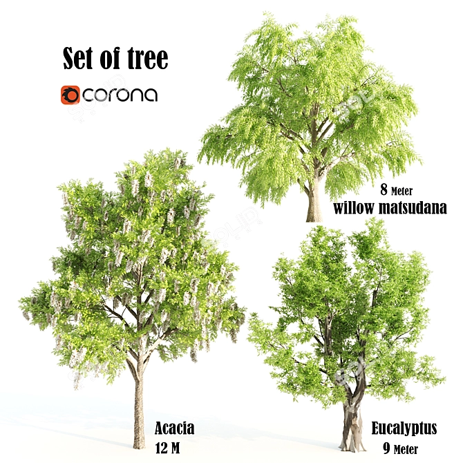 3-in-1 Tree Assortment: Willow, Eucalyptus, Acacia 3D model image 1