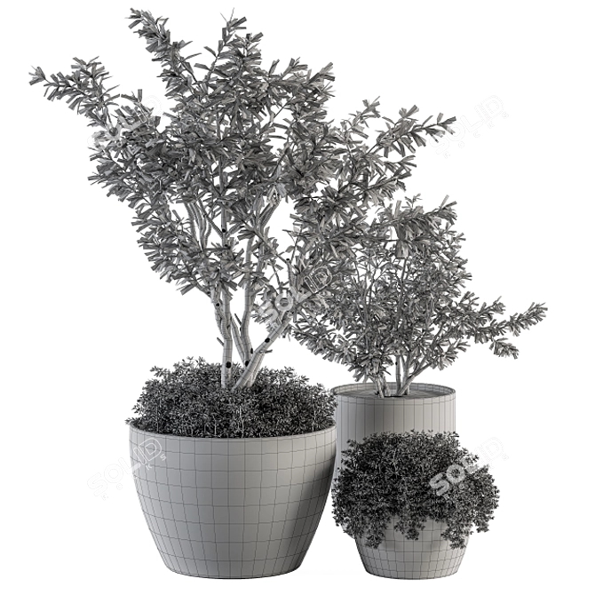 Lush Outdoor Olive Trees - Set 79 3D model image 5