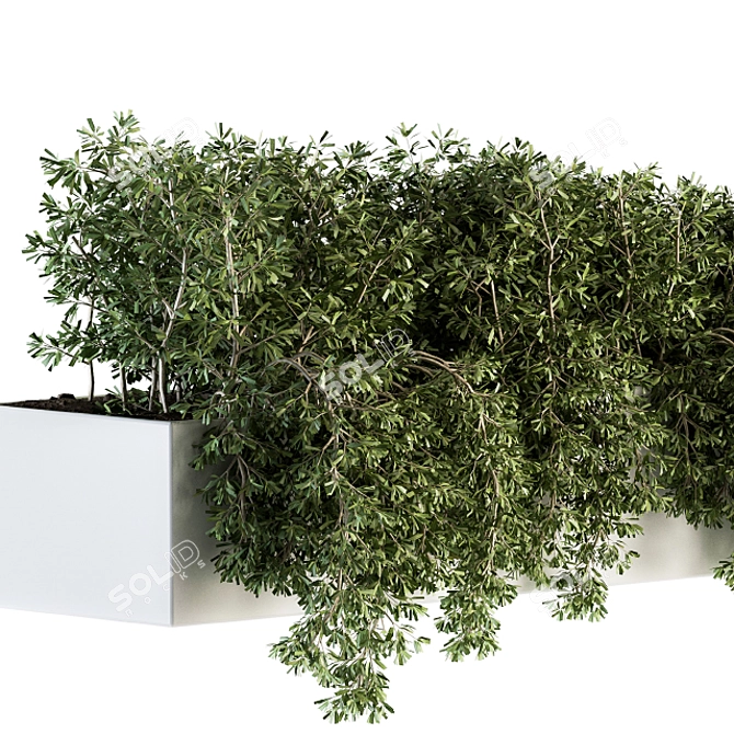 Ivy Box-Set: Outdoor Greenery 3D model image 4