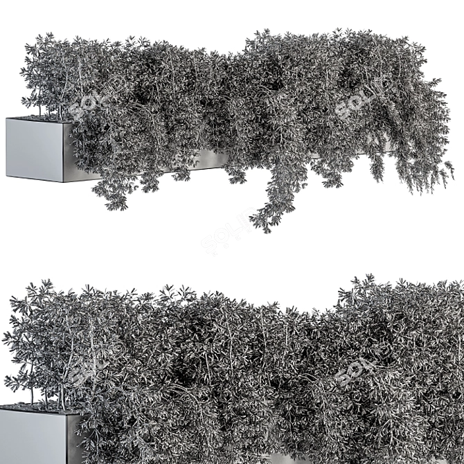 Ivy Box-Set: Outdoor Greenery 3D model image 5