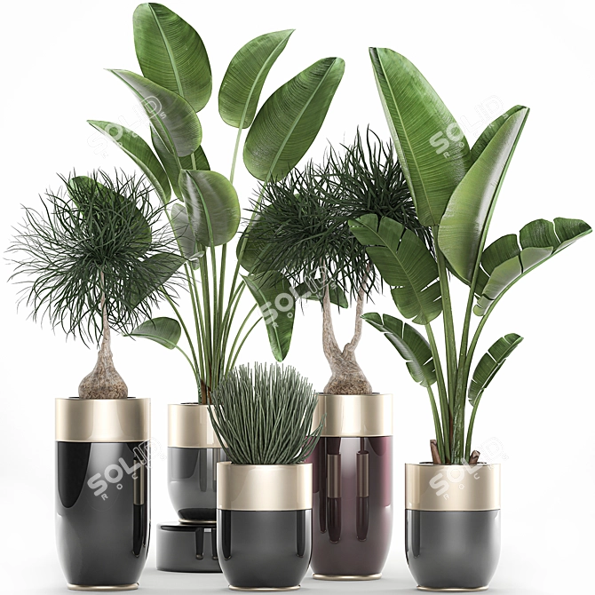 Exotic Plant Collection for Indoor and Outdoor Décor 3D model image 1