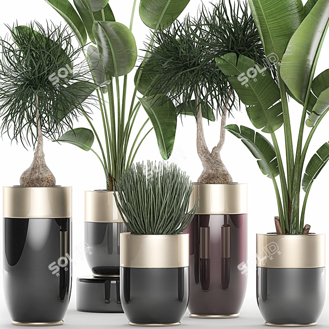 Exotic Plant Collection for Indoor and Outdoor Décor 3D model image 2