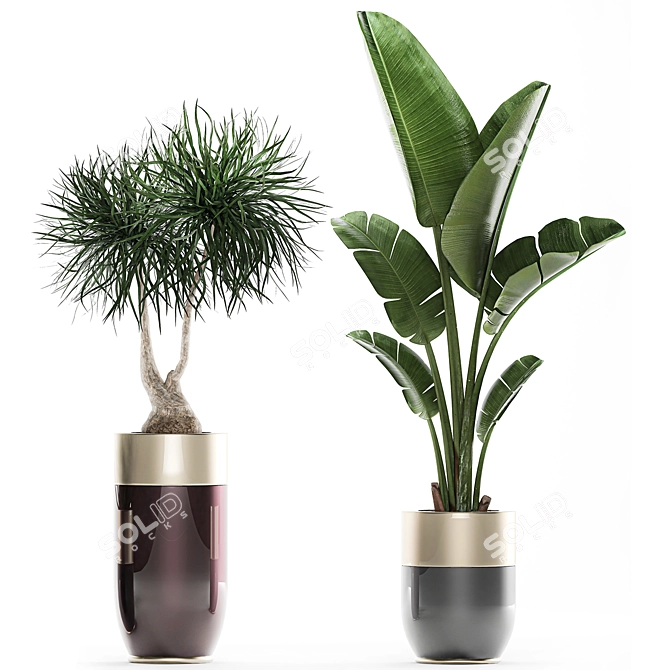 Exotic Plant Collection for Indoor and Outdoor Décor 3D model image 4