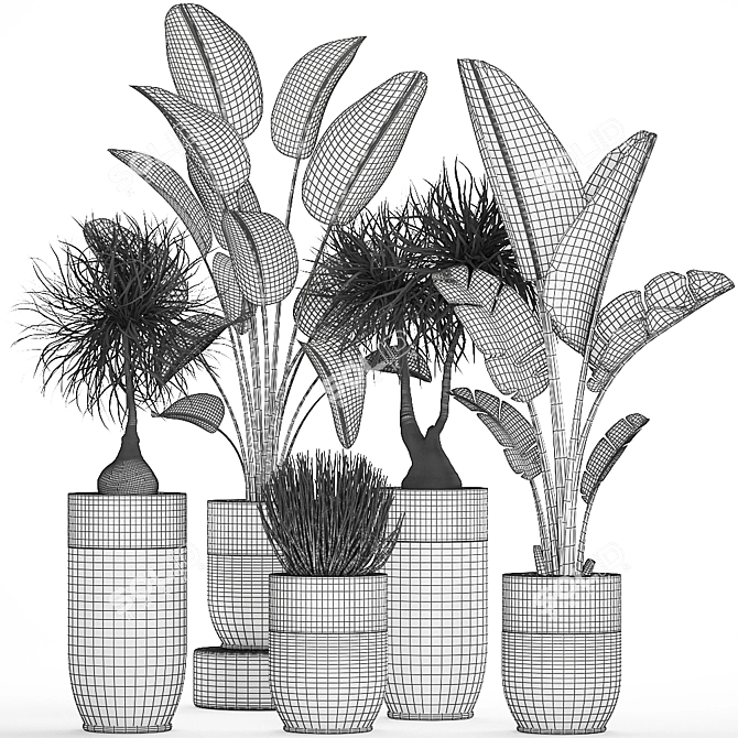 Exotic Plant Collection for Indoor and Outdoor Décor 3D model image 5