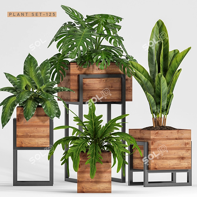 Green Oasis Planter Set 3D model image 1