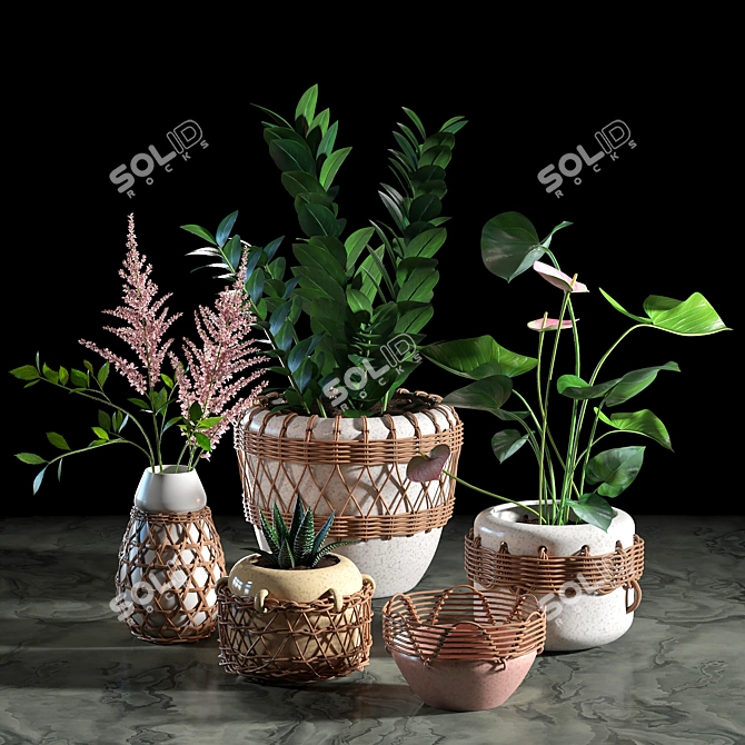 Woven Plant Set for Interior Decoration 3D model image 1