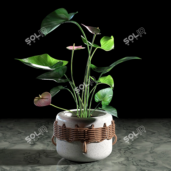 Woven Plant Set for Interior Decoration 3D model image 3