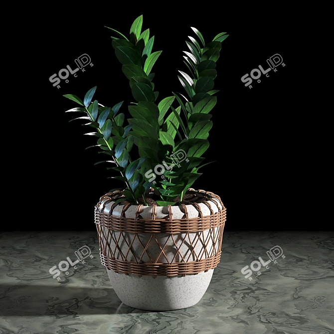 Woven Plant Set for Interior Decoration 3D model image 4