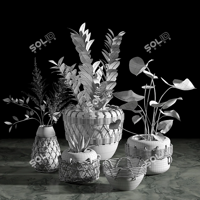 Woven Plant Set for Interior Decoration 3D model image 5