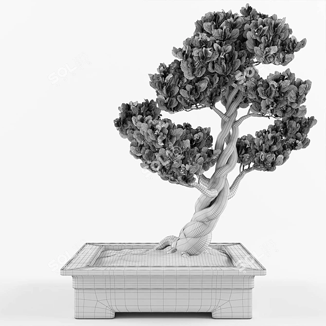 Elegant Bonsai Decor Tree 3D model image 5