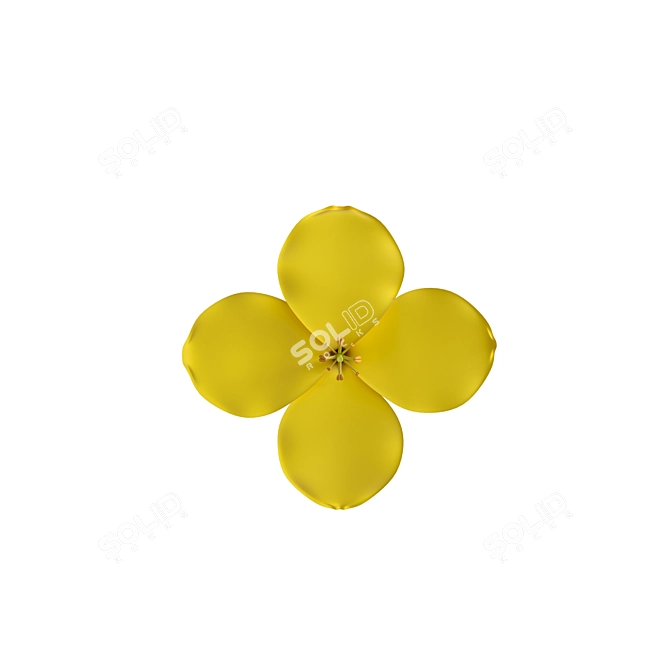 Pure Rapeseed Flower Oil 3D model image 2