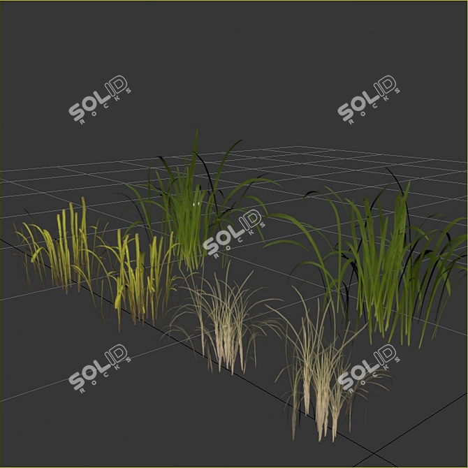 Natural Forest Grass Collection 3D model image 5