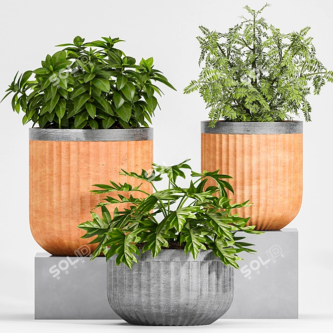 Botanical Bliss: Decorative Planter Set 3D model image 3