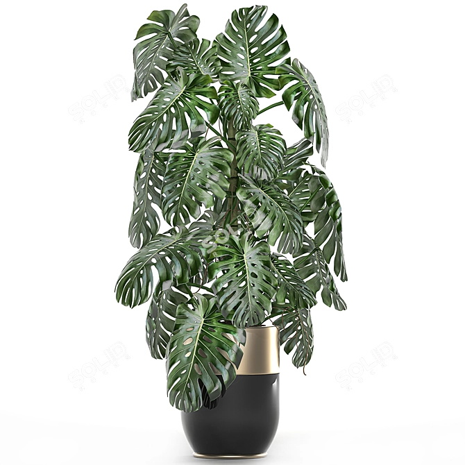 Exotic Plant Collection: Indoor & Outdoor in Luxurious Godwin Longhi Pot 3D model image 2