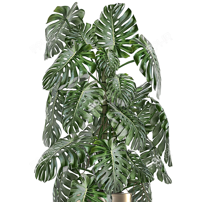 Exotic Plant Collection: Indoor & Outdoor in Luxurious Godwin Longhi Pot 3D model image 3