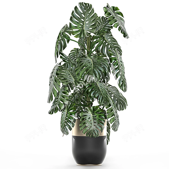 Exotic Plant Collection: Indoor & Outdoor in Luxurious Godwin Longhi Pot 3D model image 4