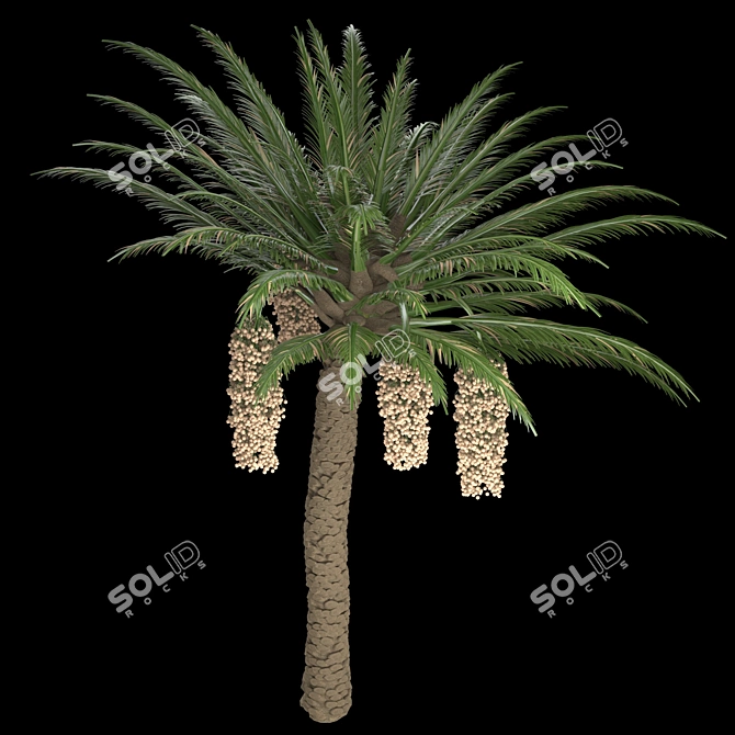 Trio Tree Set: Palm & Pine 3D model image 2