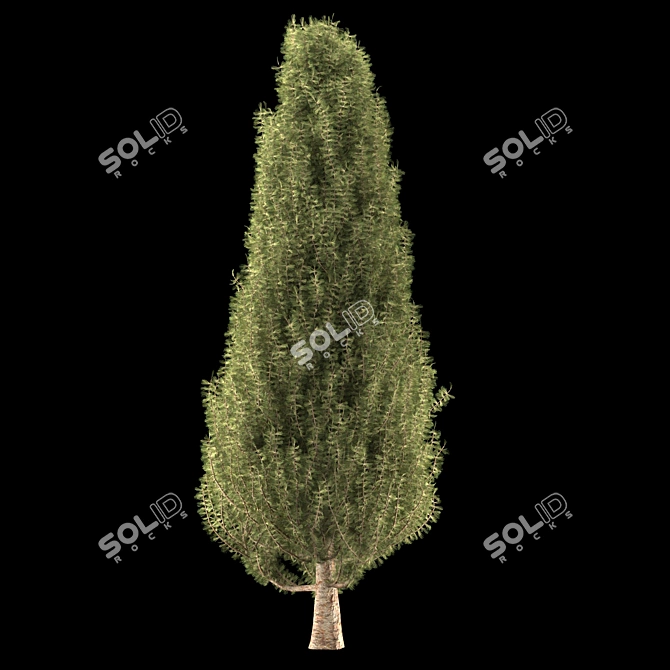 Trio Tree Set: Palm & Pine 3D model image 4