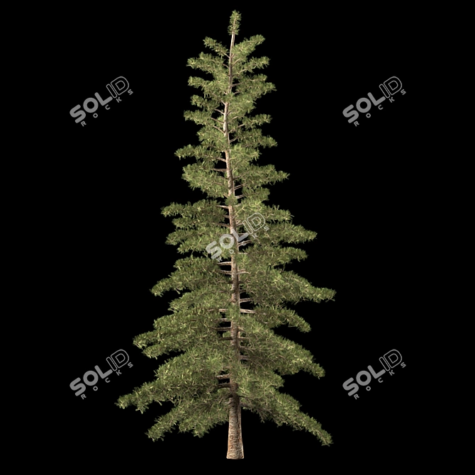 Trio Tree Set: Palm & Pine 3D model image 6