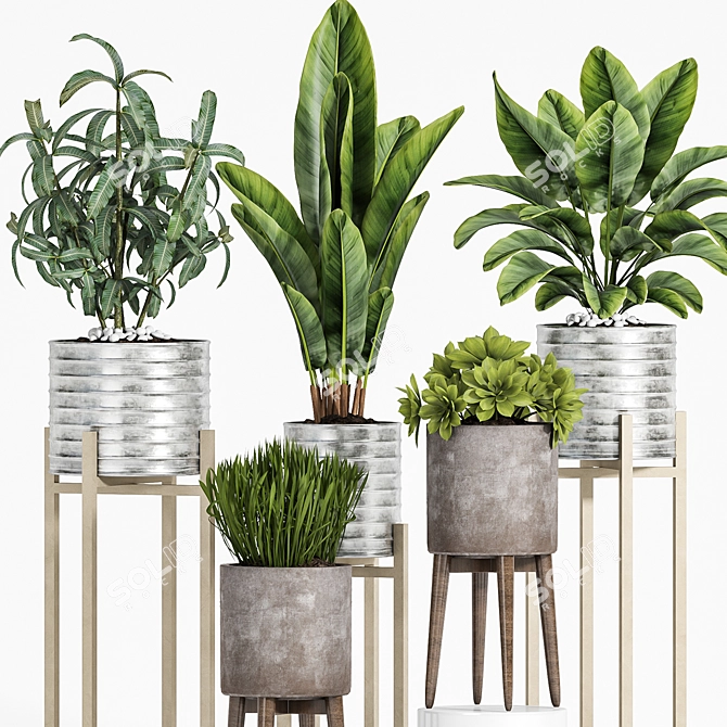 Elegant Plant Set for Home 3D model image 3