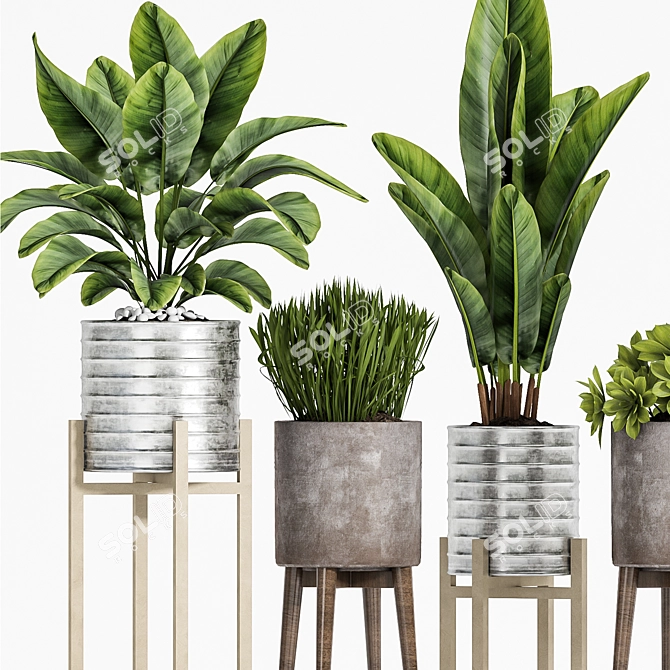 Elegant Plant Set for Home 3D model image 4