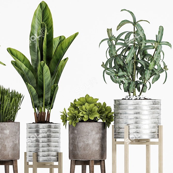 Elegant Plant Set for Home 3D model image 5