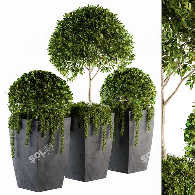 Artificial Boxwood Topiary - Set 75 3D model image 1