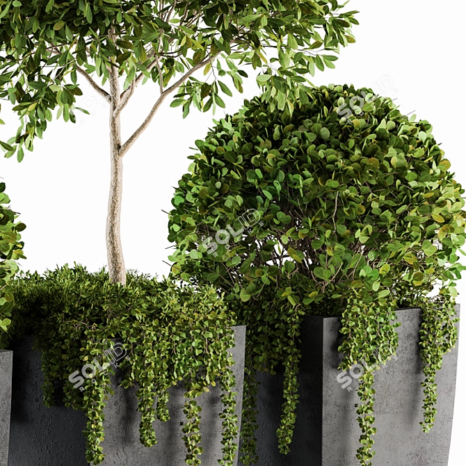 Artificial Boxwood Topiary - Set 75 3D model image 3