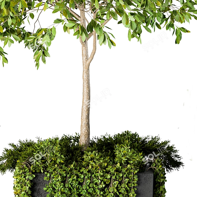 Artificial Boxwood Topiary - Set 75 3D model image 4