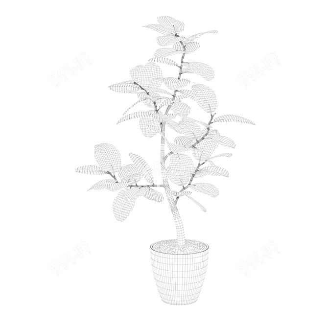 Exquisite Ficus Benghalensis Collection 3D model image 2