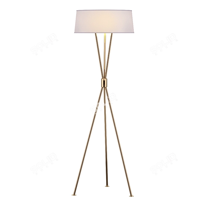 Suzanne Kasler Thornton: Polished Nickel Floor Lamp 3D model image 1