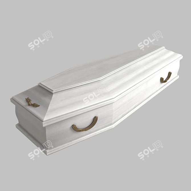 Elegant Crimson Coffin 3D model image 9