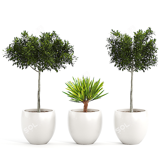  3D Plant Collection: Variety and Quality 3D model image 1