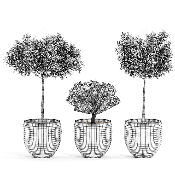  3D Plant Collection: Variety and Quality 3D model image 2