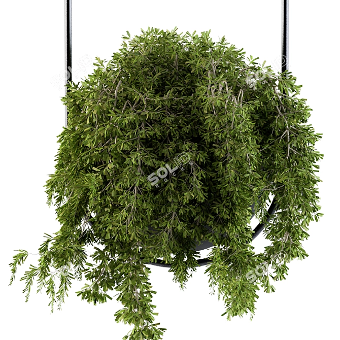 Vibrant Hanging Box Plant Set 3D model image 2