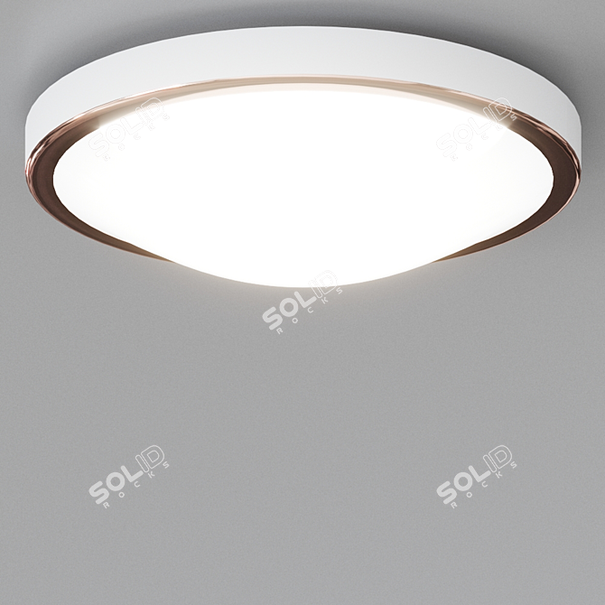 OSAKA Opal Glass Steel Ceiling Light 3D model image 3